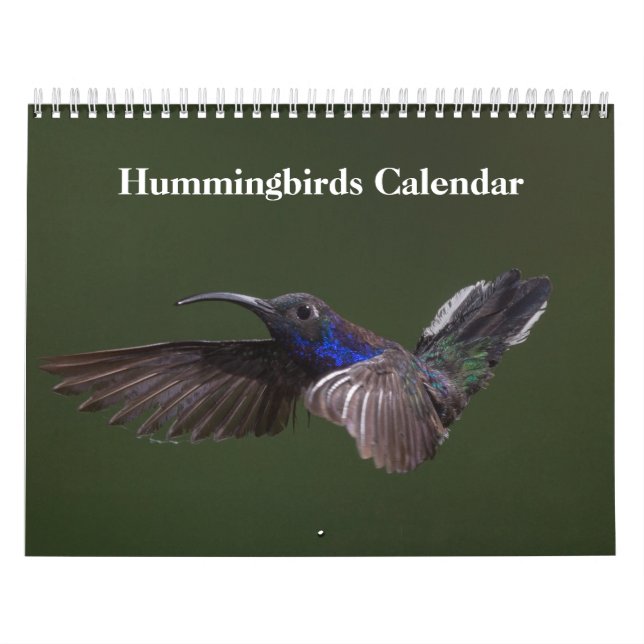Calendario Hummingbirds 2025 (Tapa)