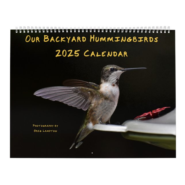 Calendario Hummingbirds de 11" x 14,25" (Tapa)