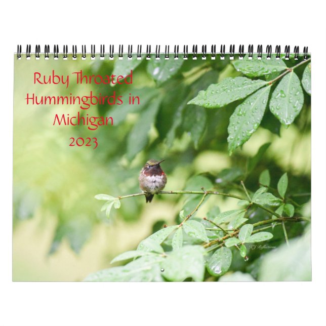 Calendario Hummingbirds de Michigan (Tapa)