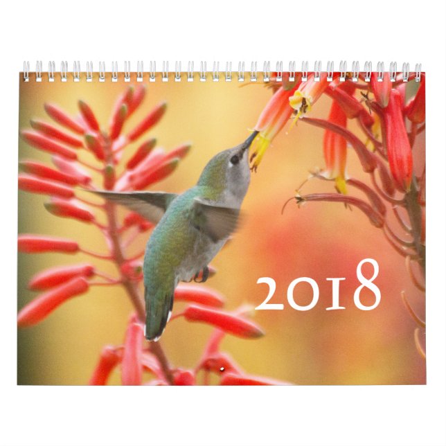 Calendario Hummingbirds galore (Tapa)