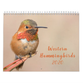 Calendario Hummingbirds Occidental 2020