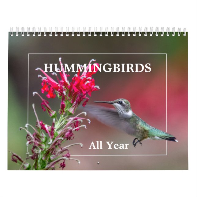 Calendario Hummingbirds Todo El Año (Tapa)