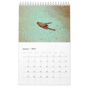 Calendario Humor: 2019