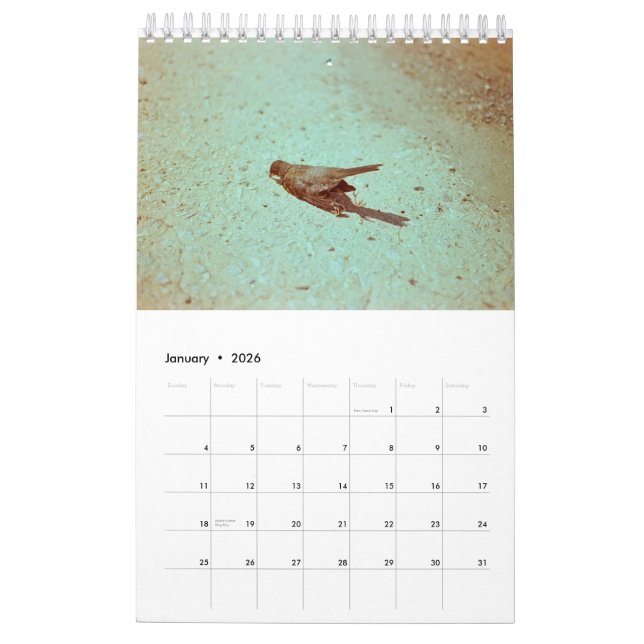 Calendario Humor: 2019 (Jan 2026)