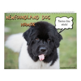 Calendario Humor de Notta Bear Newfoundlands