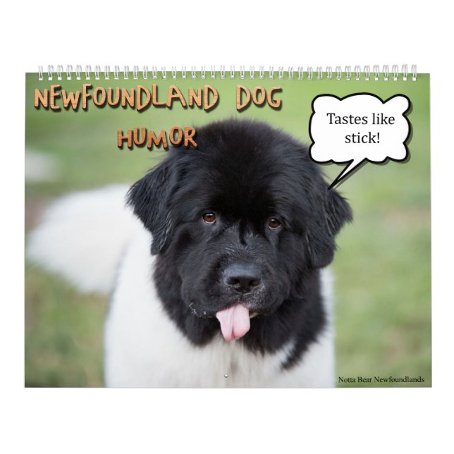 Calendario Humor de Notta Bear Newfoundlands (Tapa)