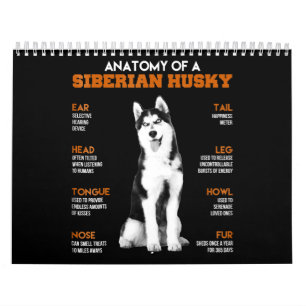 Calendario Husky  Anatomía De Perros Husky Siberianos