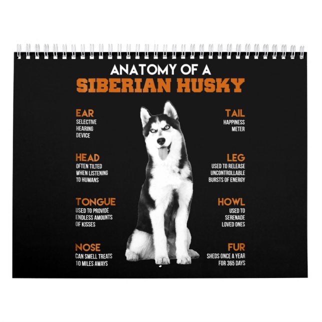 Calendario Husky| Anatomía De Perros Husky Siberianos (Tapa)