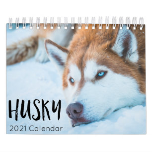 calendario husky dog 2021