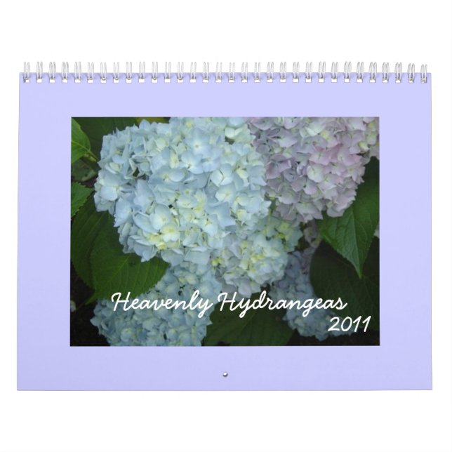 Calendario Hydrangeas celestiales - 2011 (Tapa)