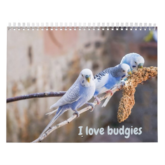 Calendario I love budgies - snapshots of the little birds (Tapa)