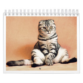 Calendario I love cats calendar 2026