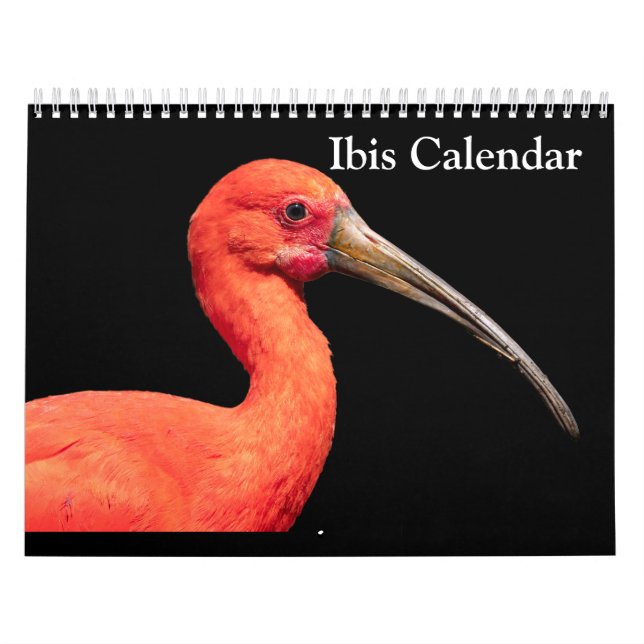 Calendario Ibis 2027 (Tapa)