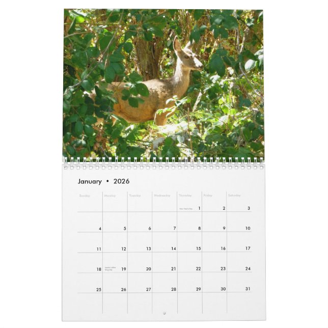 Calendario Idaho (Jan 2026)