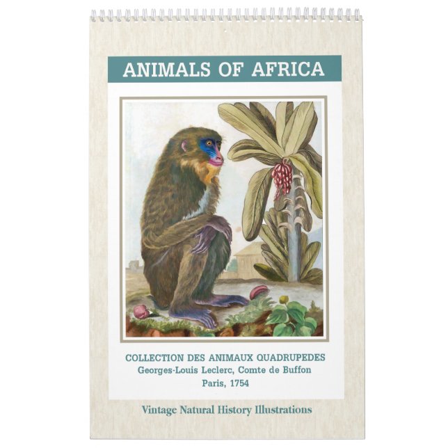Calendario Ilustraciones de Animales Africanos Vintage 2026 (Tapa)