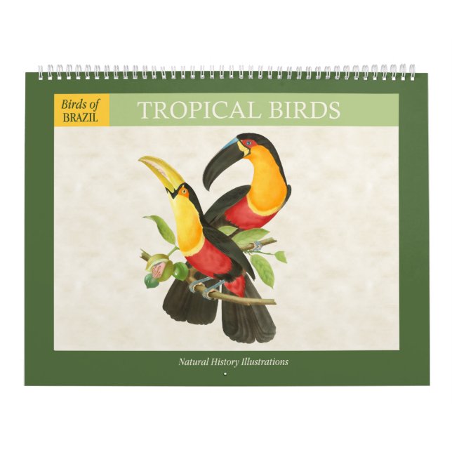 Calendario Ilustraciones de Aves Tropicales Vintage 2026 (Tapa)