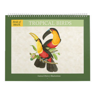 Calendario Ilustraciones de aves tropicales vintage 2027