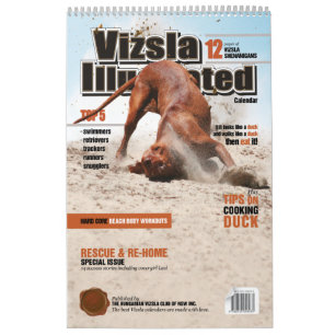 Calendario ilustrado de Vizsla