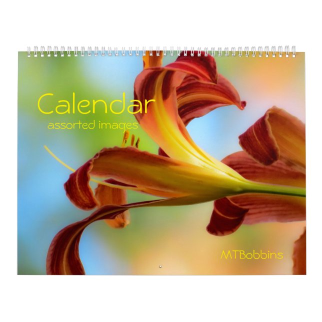 Calendario - imágenes clasificadas - con grandes (Tapa)