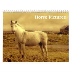 Calendario Imágenes de caballos 2027