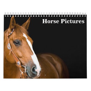 Calendario Imágenes de caballos hermosos 2027
