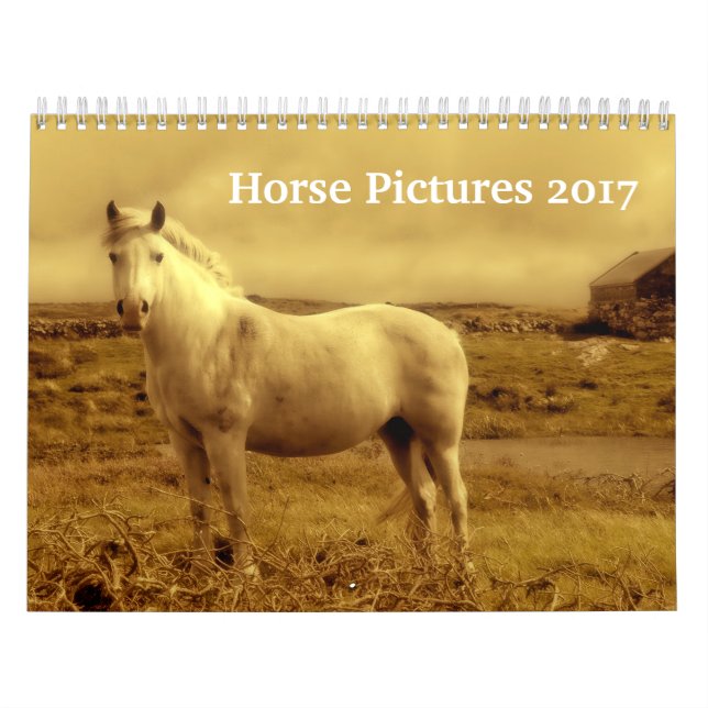 Calendario Imágenes de imágenes hermosas del caballo 2017 (Tapa)