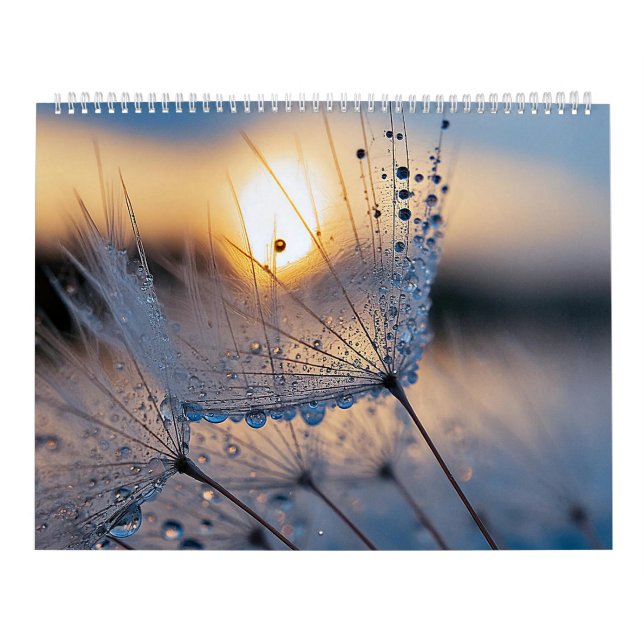 Calendario Imágenes de naturaleza macro (Tapa)