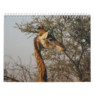 Calendario Imágenes de Suráfrica