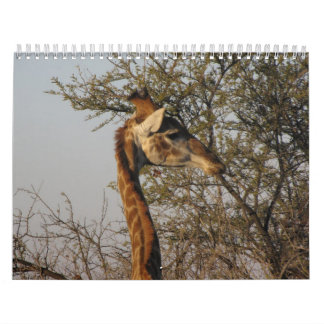 Calendario Imágenes de Suráfrica