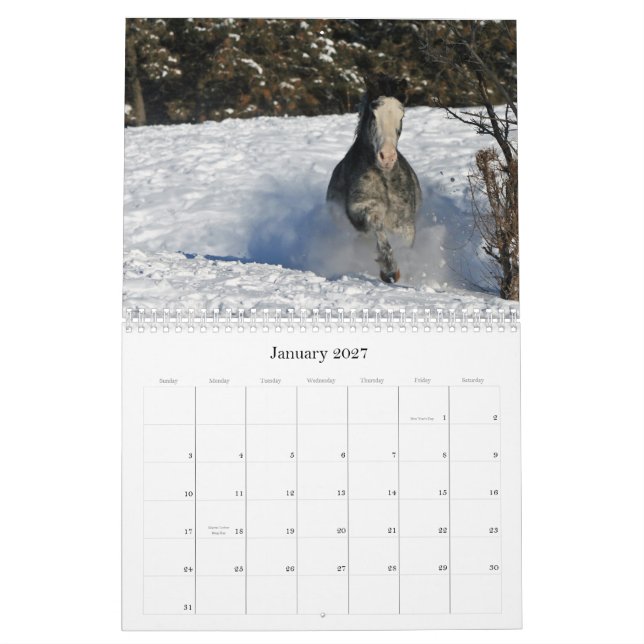 Calendario Imágenes equinas 2011 (Jan 2027)