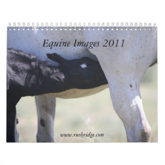 Calendario Imágenes equinas 2011