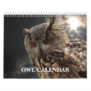 Calendario Imágenes y Fotos de Búhos Hermosos 2027