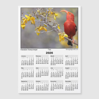 Calendario imán 5x7 2026 Iiwi HawaiianHoneycreeper