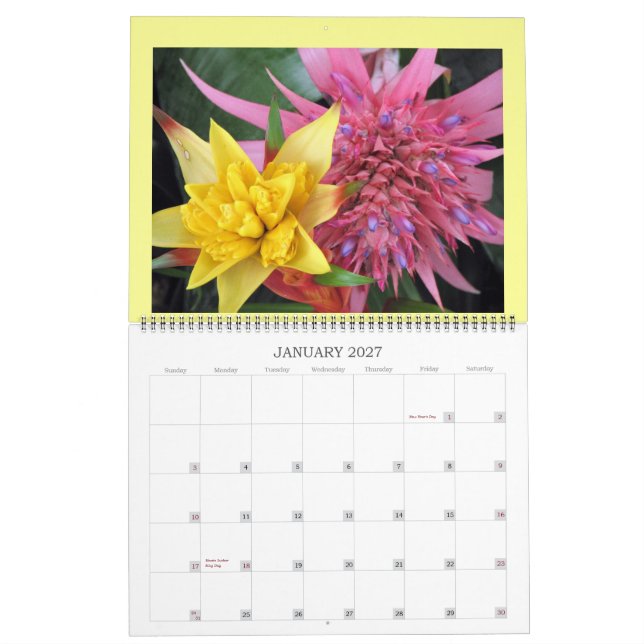 CALENDARIO IMG_1311, 2008 (Jan 2027)