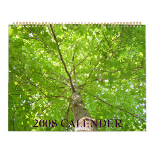 CALENDARIO IMG_1311, 2008