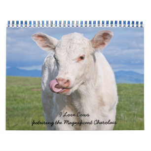 Calendario IMG_6979, I Love Cows presentando el Magnífico...