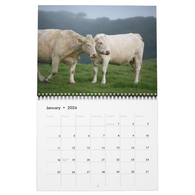 Calendario IMG_6979, I Love Cows presentando el Magnífico... (Jan 2026)