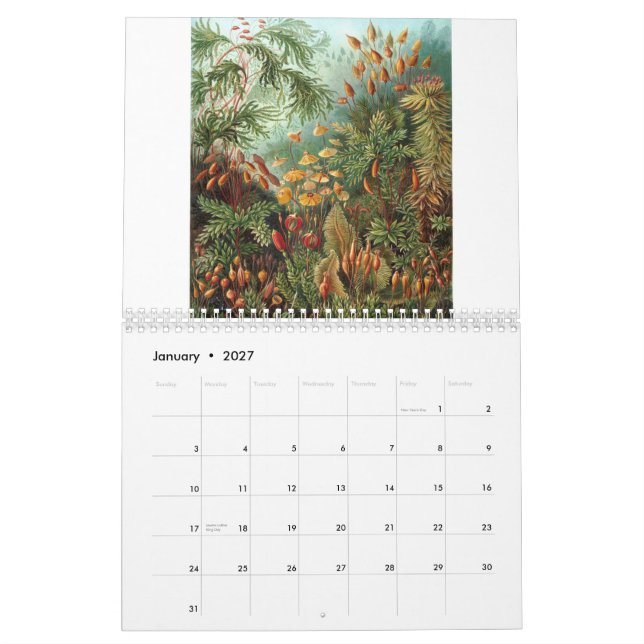 Calendario Impresiones de Ernst Haeckel (Jan 2027)