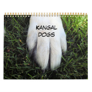 Calendario impreso de personalizado