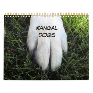 Calendario impreso de personalizado