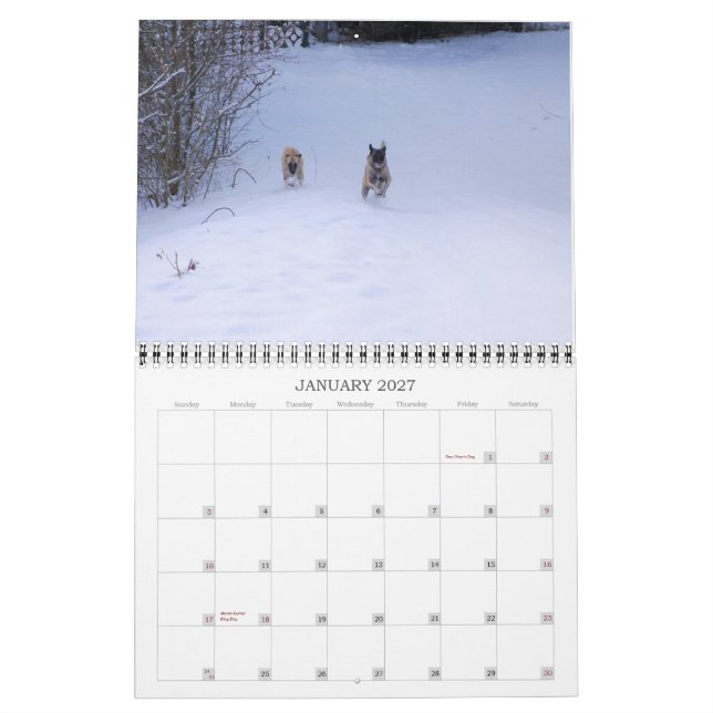 Calendario impreso de personalizado (Jan 2027)