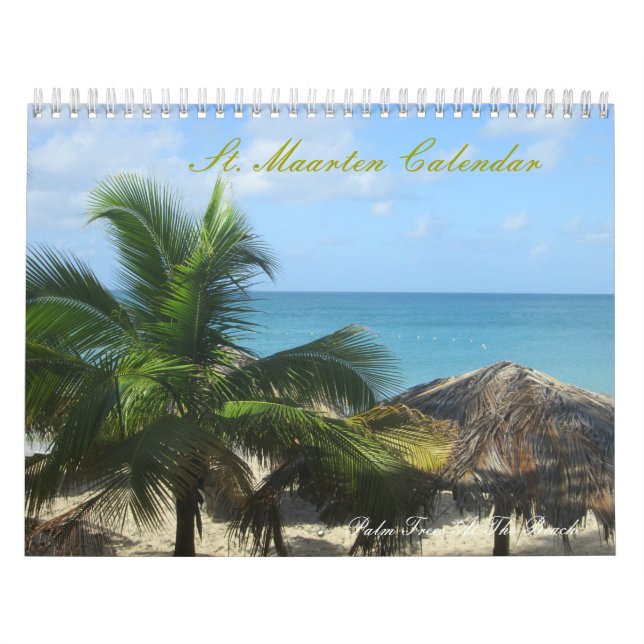 Calendario impreso personalizado de la fotografía (Tapa)