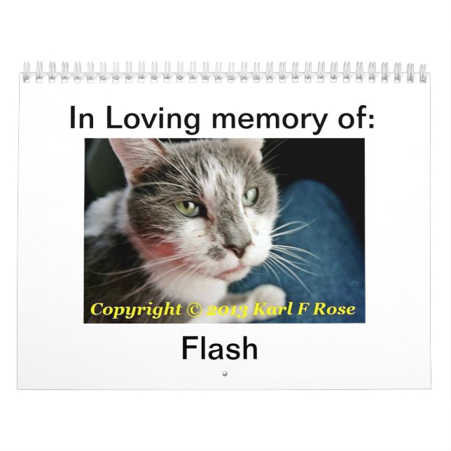 Calendario impreso personalizado del gato (Tapa)