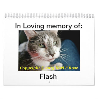 Calendario impreso personalizado del gato