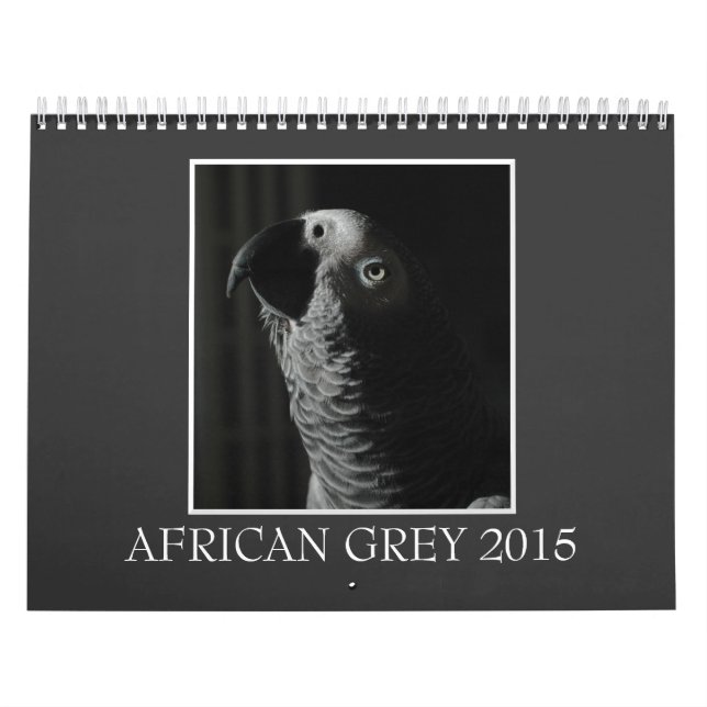 Calendario impreso personalizado del loro 2015 del (Tapa)