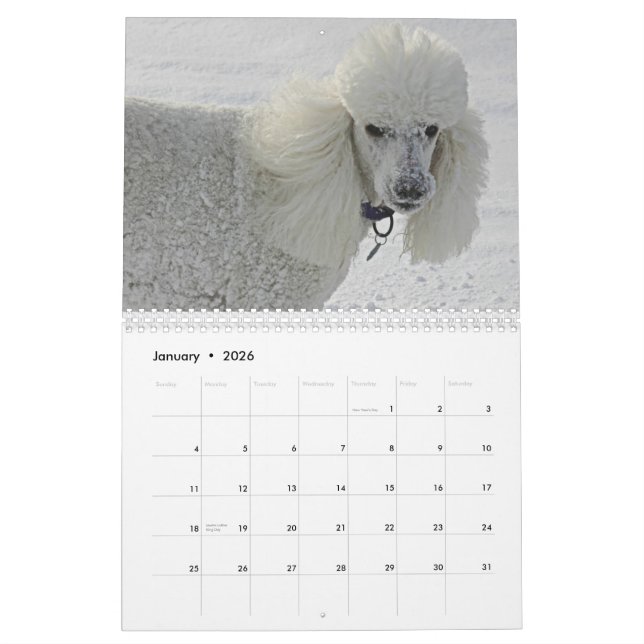 Calendario Incluso los perros tardan tiempo para oler las (Jan 2026)