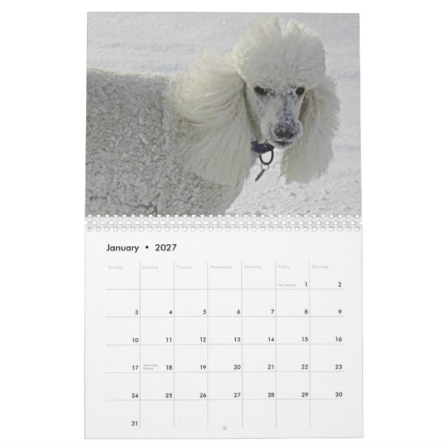 Calendario Incluso los perros tardan tiempo para oler las (Jan 2027)