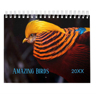 Calendario Increíble fotografía de AVES