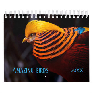 Calendario Increíble fotografía de AVES