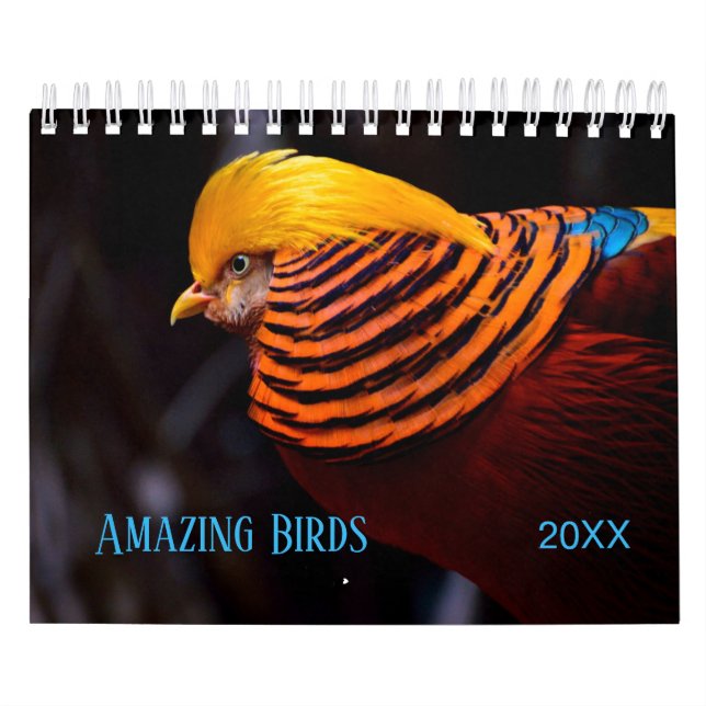Calendario Increíble fotografía de AVES (Tapa)